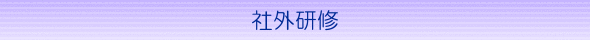 SYAGAIKENSYU